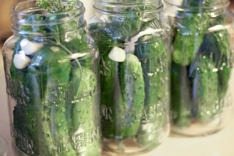 Dill Pickle Canning