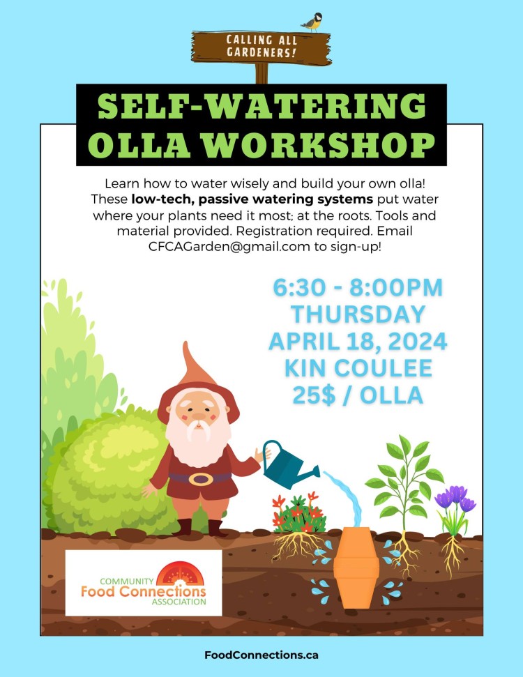 Self-Watering Olla Workshop